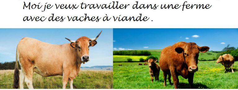 2021-05-jordan-vaches-tracteurs1