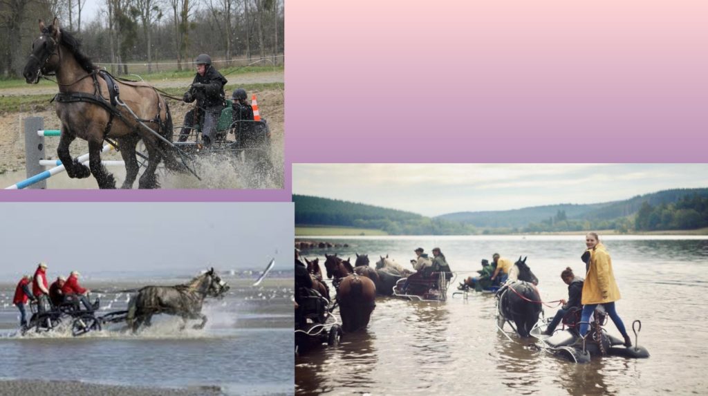 2021-07-22-hardis-mareyeurs02