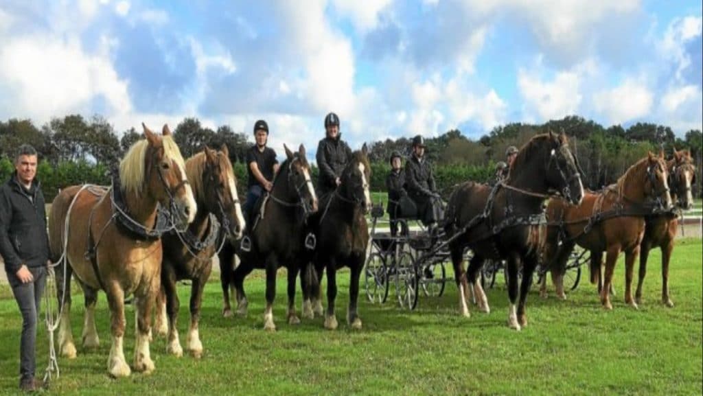 2021-07-22-hardis-mareyeurs04