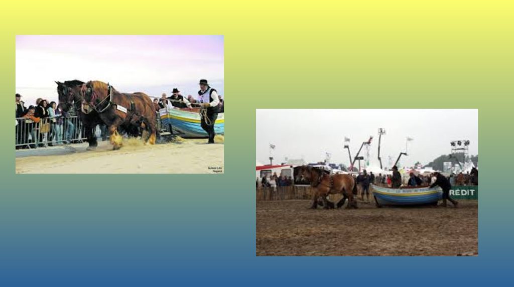 2021-07-22-hardis-mareyeurs07