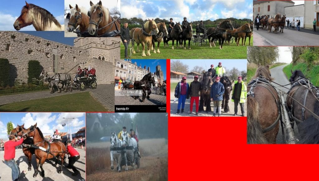 2021-07-22-hardis-mareyeurs08