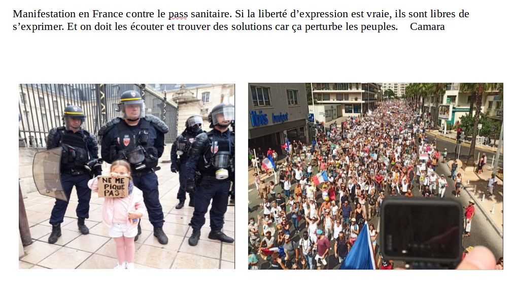 2021-09-13-camara-manif-pass-sanitaire