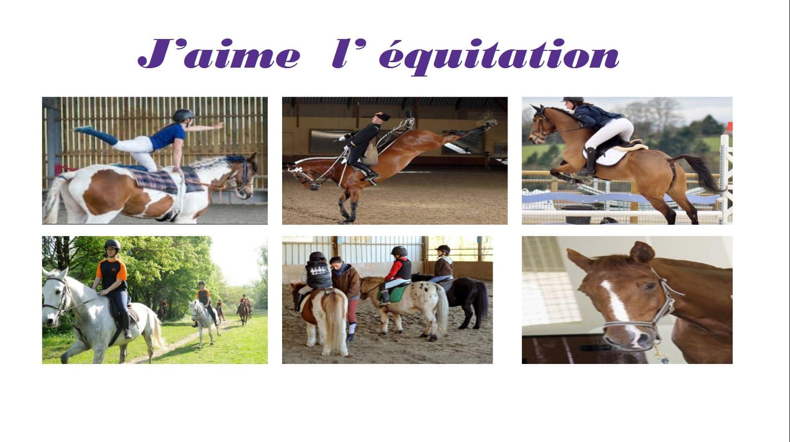 Marine: mes sports préférés