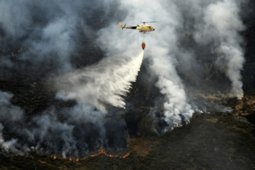 Une même image et plusieurs idées1