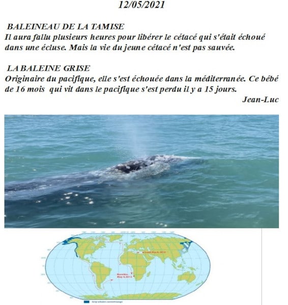 20210521-jeanluc-baleineau