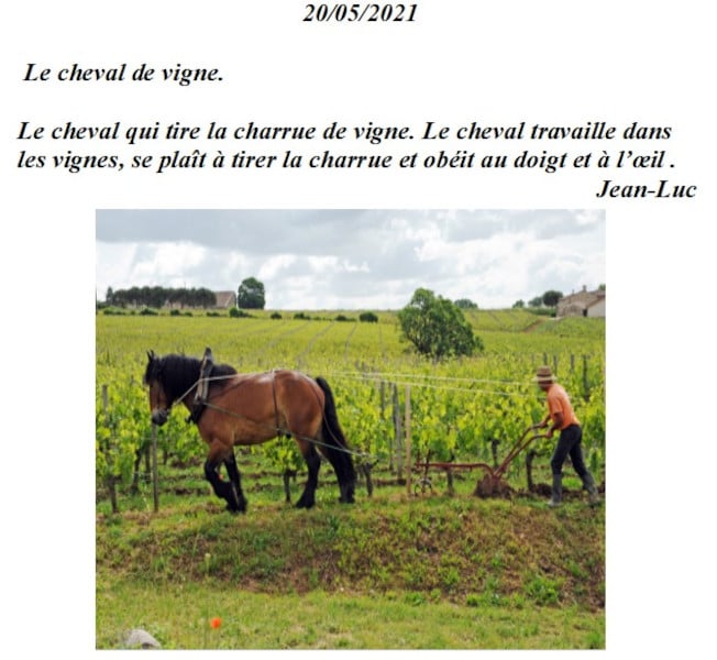 20210521-jeanluc-chevaux