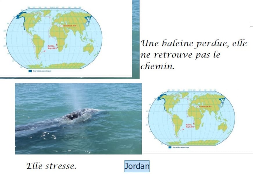 20210521-jordan-baleineau