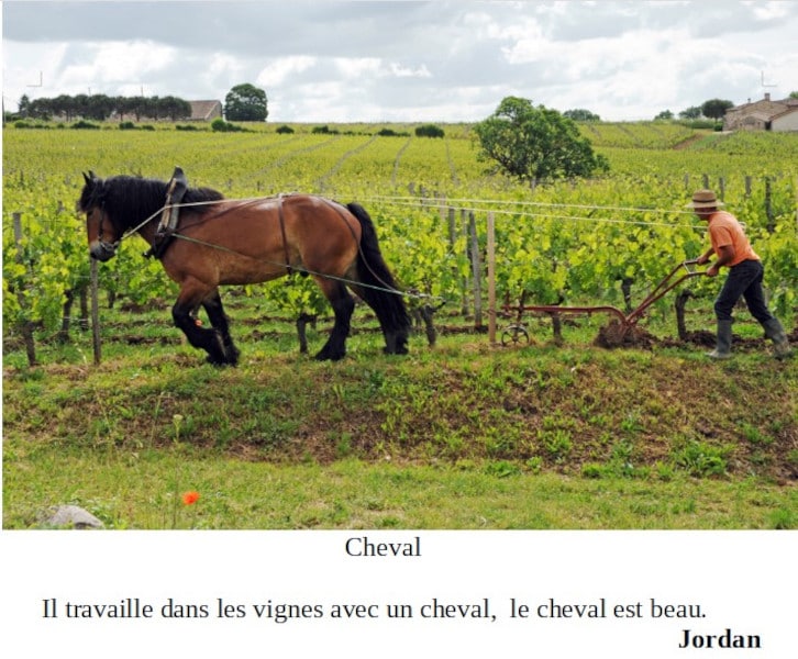 20210521-jordan-chevaux