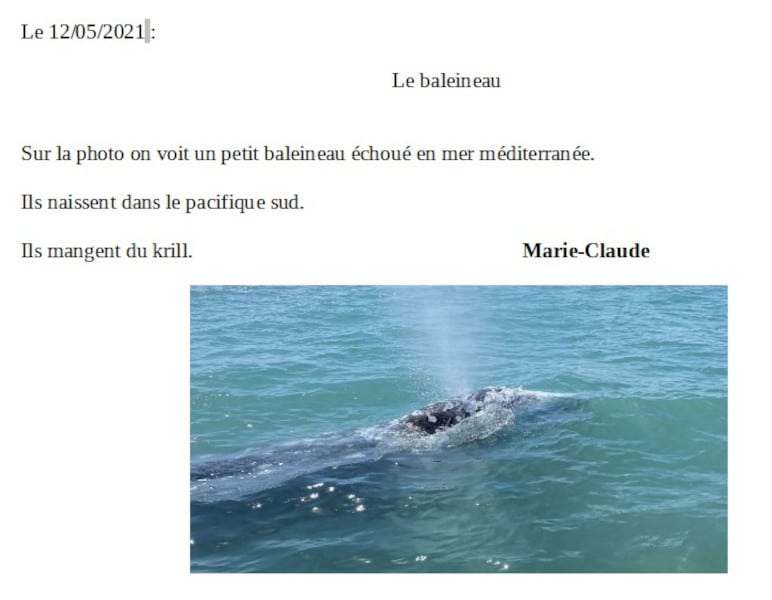 20210521-marieclaude-baleineau