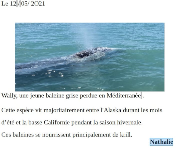 20210521-nathalie-baleineau