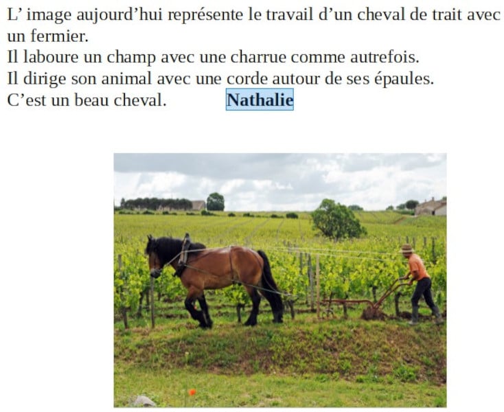 20210521-nathalie-chevaux