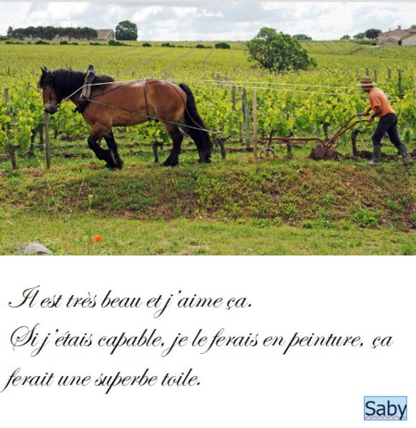 20210521-saby-chevaux
