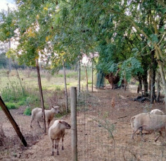 Visite à la ferme de la Riberderie