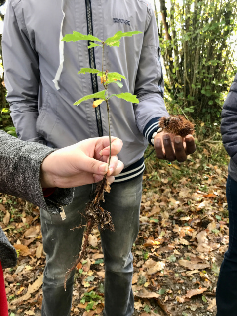 2021-10-22-fabrique-chataigniers (4)