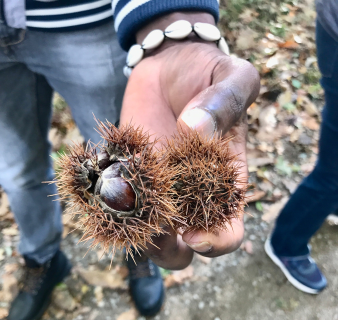 2021-10-22-fabrique-chataigniers (5)