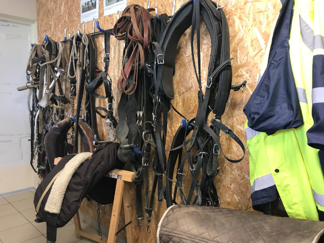 2021-10-15-riberderieB (11)