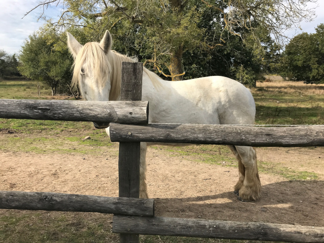 2021-10-15-riberderieB (14)