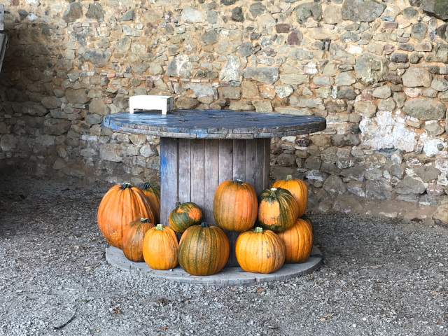 2021-10-15-riberderieB (15)