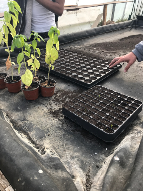 2021-10-15-riberderieB (3)