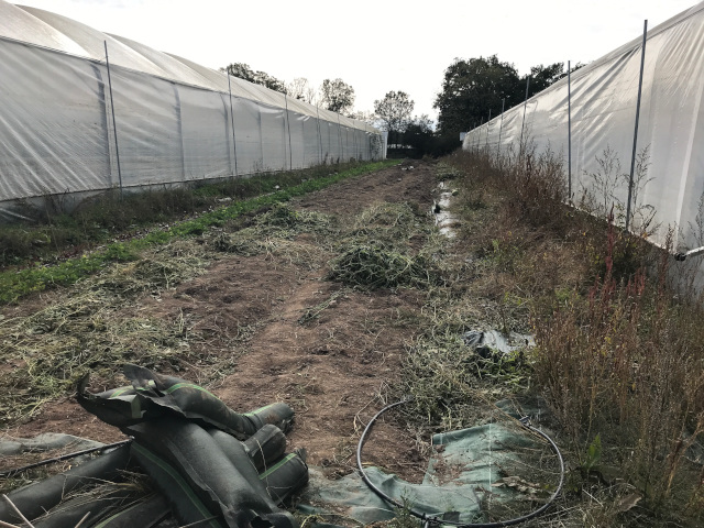 2021-10-15-riberderieB (5)