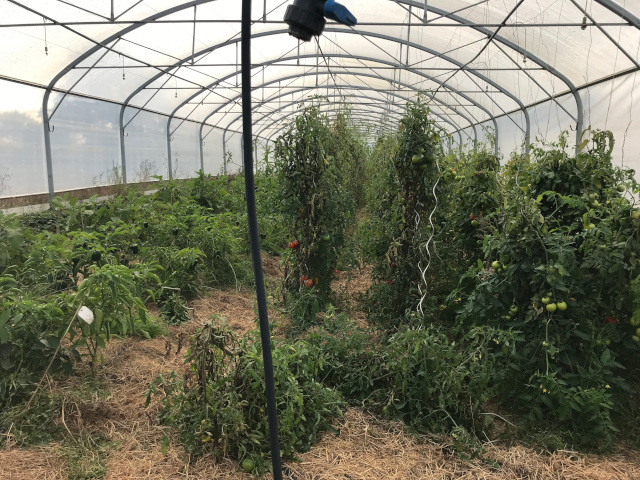 2021-10-15-riberderieB (6)