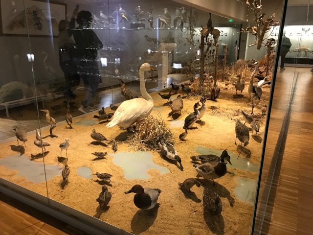 sortie-niort-cfa-agescy-marie (16)