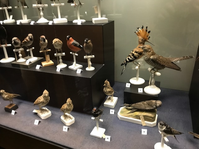 sortie-niort-cfa-agescy-marie (18)