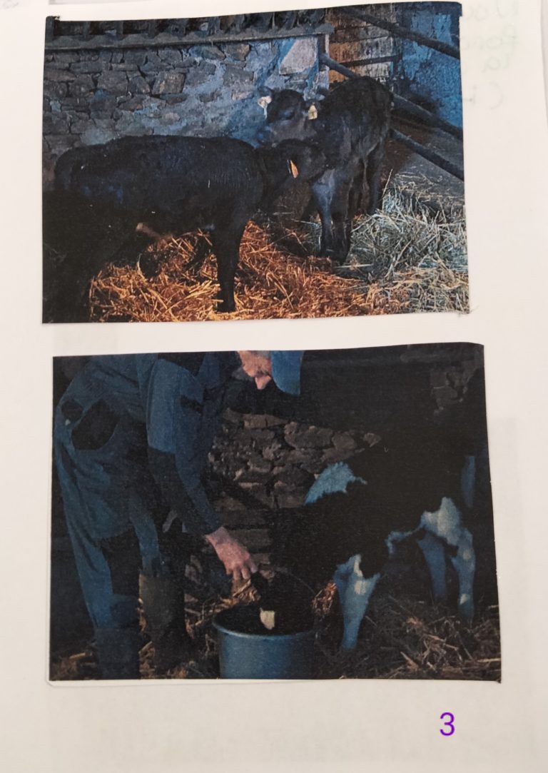 20220202-livret-jessica-visite-ferme (3)