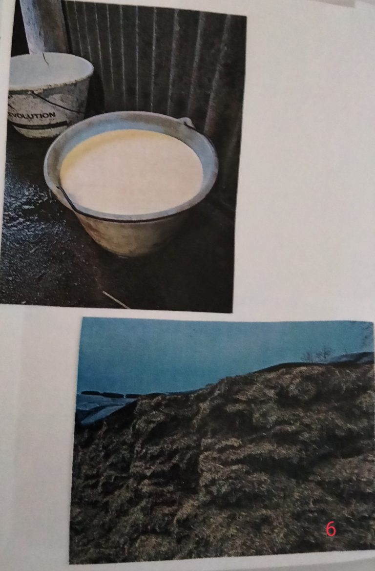 20220202-livret-jessica-visite-ferme (5)