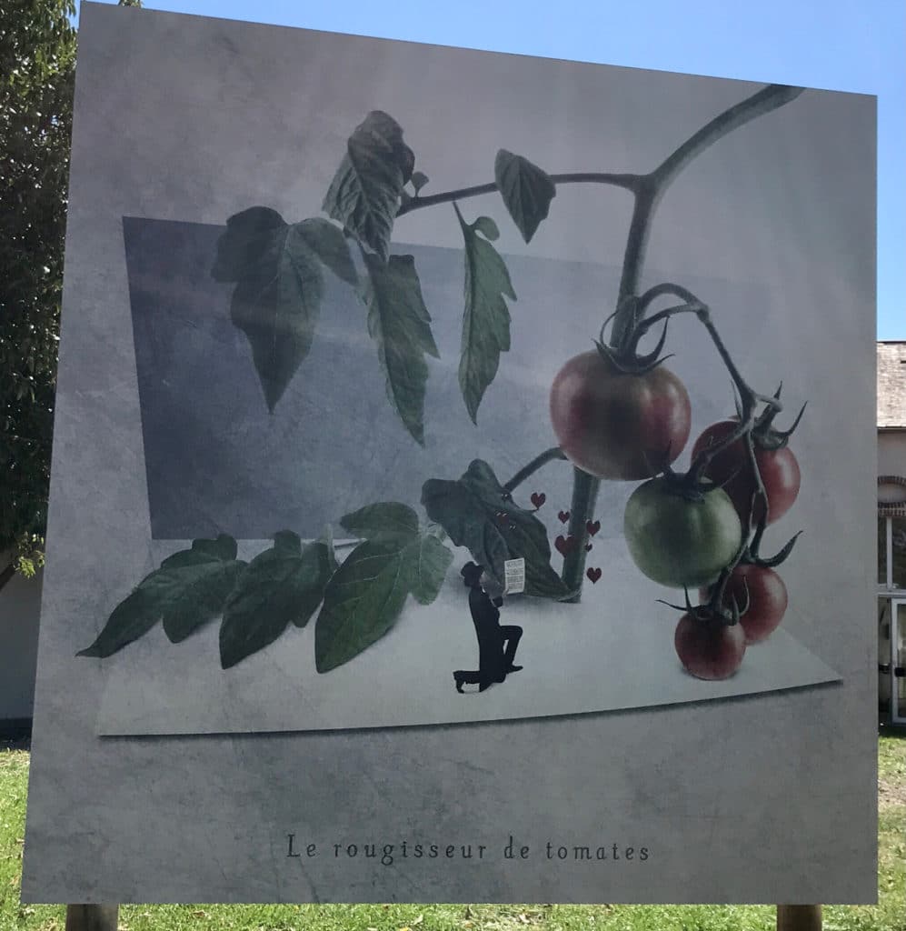 festival-photos-moncoutant-2022 (4)